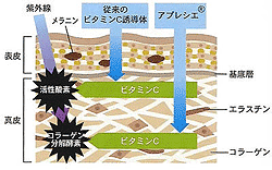 APPSが浸透していく図