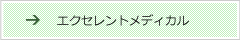 エクセレントメディカル